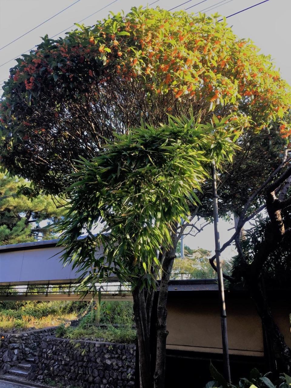 Hotel 京苑 Kyoen 京町家 Kioto Zewnętrze zdjęcie