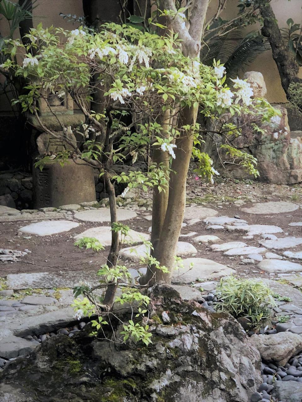 Hotel 京苑 Kyoen 京町家 Kioto Zewnętrze zdjęcie